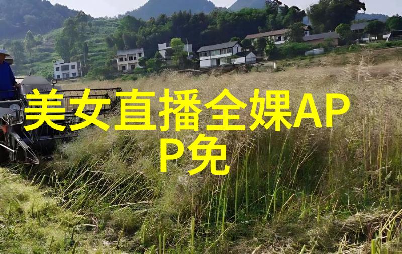 中国传统节日精彩探秘春节端午中秋除夕重阳等
