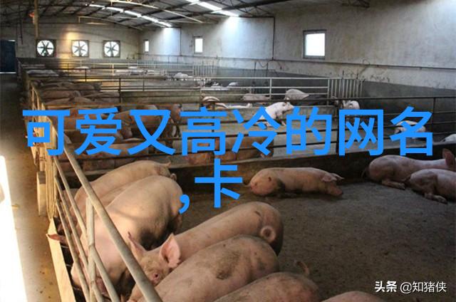 彝族的传统节日-守望彝族春天的花语与舞韵