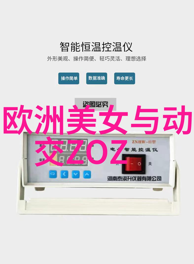 阅读与写作基础使用最简单的汉字200个提升文案能力