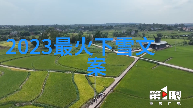 明星三缺一 - 光芒闪耀探索电影中的三人行必有我师