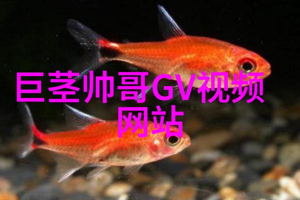 霸气的网名如同兄弟义气激昂而深情