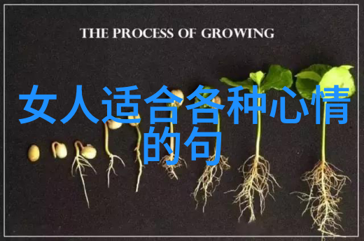 文化探索-白族的传统节日花灯盛会与香火祭祀的美好回忆
