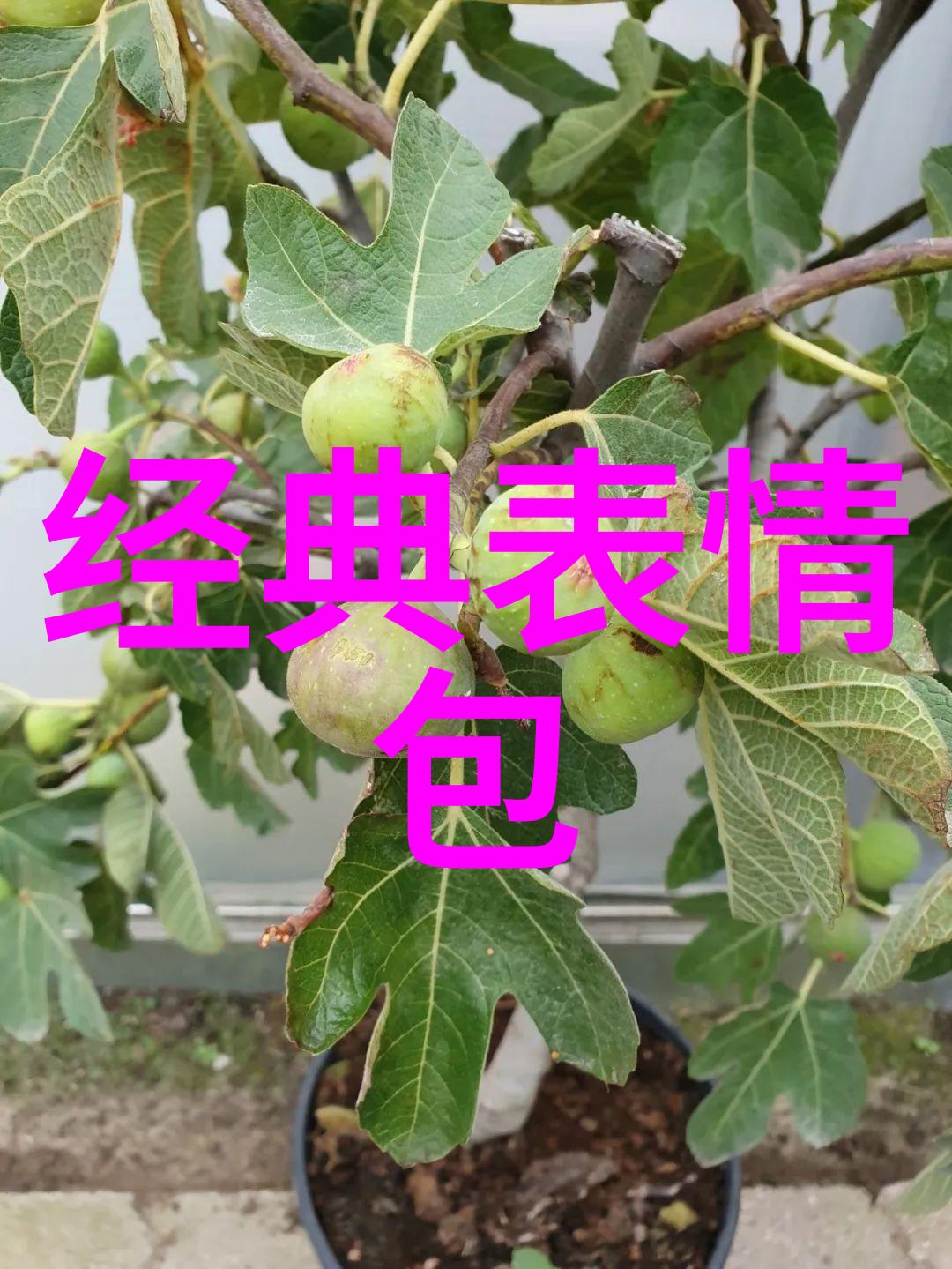 大气有涵养的网名女士励志坚强爱自己的昵称2019任你爱不爱我都疼自己