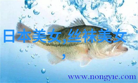 心情美美哒的每一天幸福感满分的日常