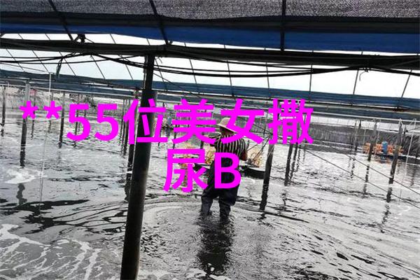 情深缘浅莪的爱恋故事