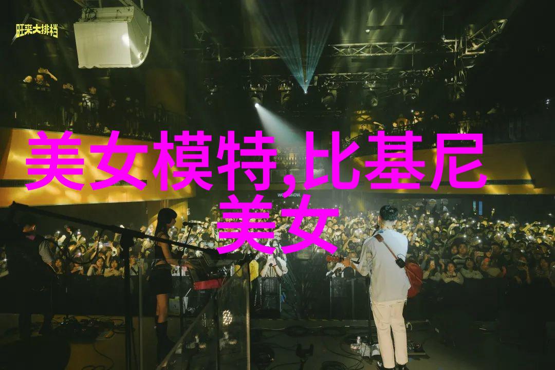 12月节日绽放圣诞冬至与新春的温馨交响