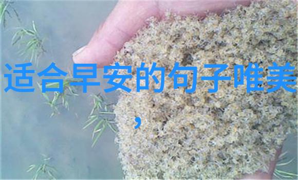 小众文艺精选二字QQ网名