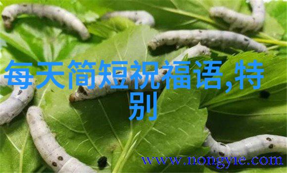 赵丽颖夏日繁花游汤加丽写真融华服珠宝古典气质绽放如画中人