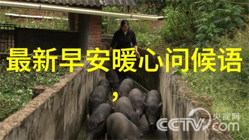 爱的旋律最美情侣中的中文字幕电影传奇