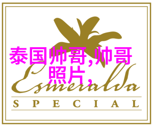 明星大侦探的神秘消失他究竟去了哪里