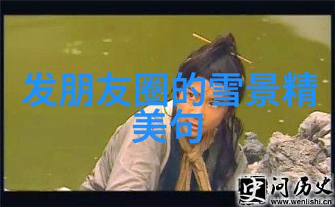 绚丽生辉器官的诗意篇章