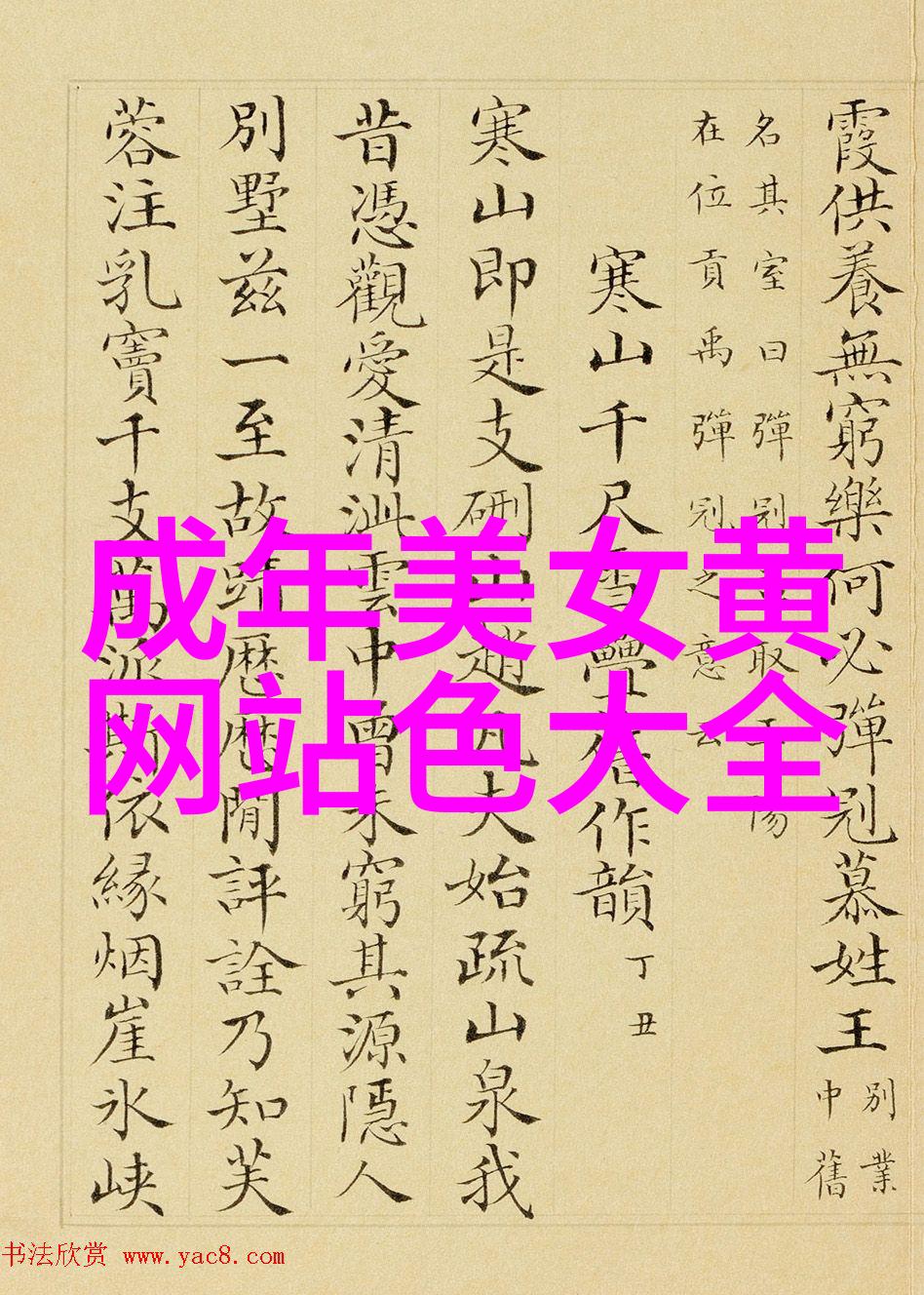 单身交友群寻找共同语言的港湾
