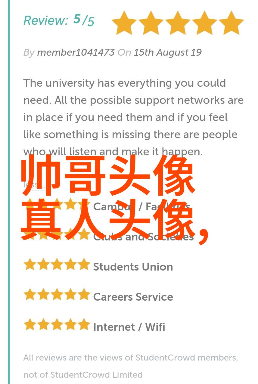 姐姐的闪耀光芒幕后故事与辉煌成就