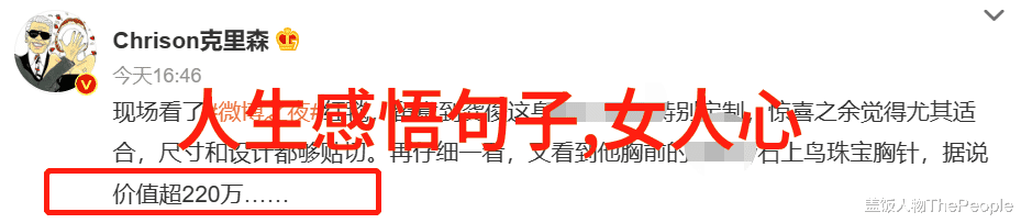 节日我的家乡春节烟花绽放团圆欢乐
