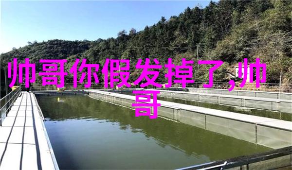从初学者到大师学习一套完整的简笔画流程