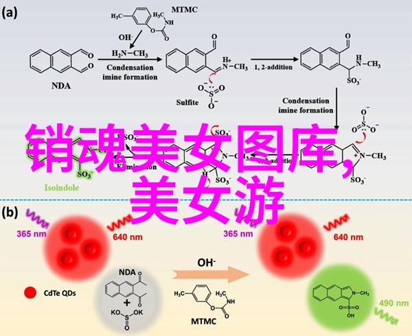 白塔之光亮相北影节 主演南吉笑谈与辛柏青共舞脚步慌乱88影视闪耀