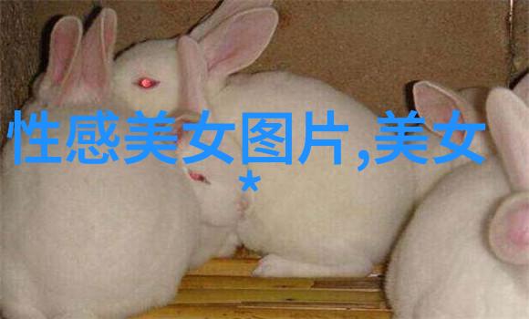 简短而深刻对领导的感激之情