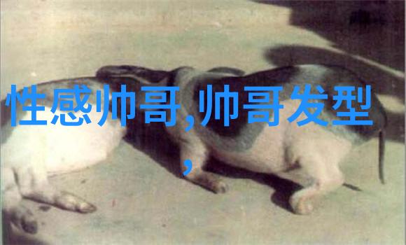 音乐下载免费版安装助您跳舞在米兰专属VIP你吕思纬生日前夕隆重献礼