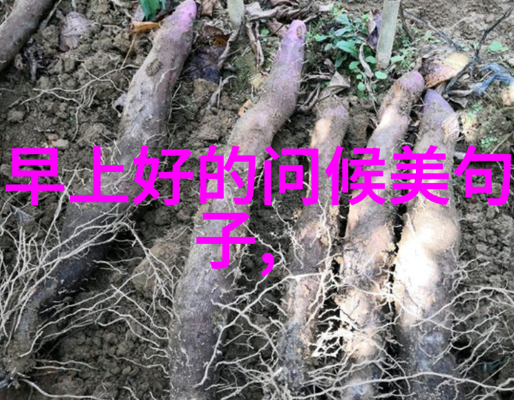 好看的图片小可爱我眼中的萌宠世界小可爱们的魅力与趣事