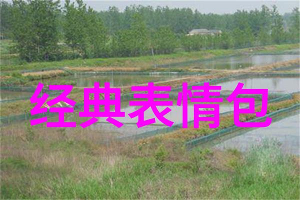从草稿到屏幕创意字体设计的制作流程