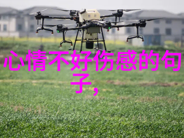 如何用早安暖心话里的8个字提升工作效率