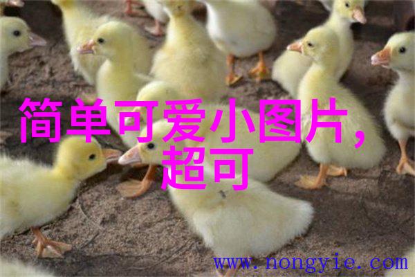 纯净如初的微笑人间清醒通透的QQ非主流网名
