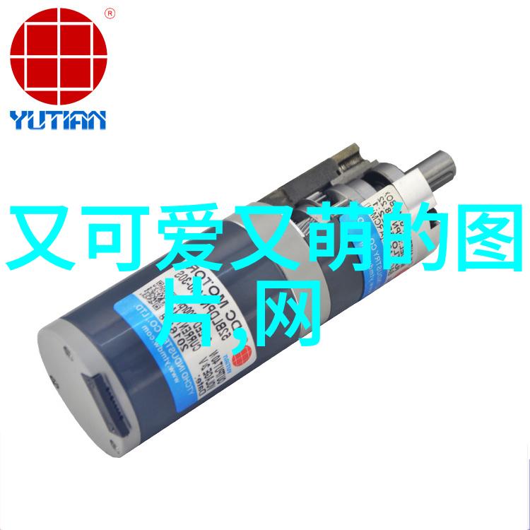明星与光明揭开被暗杀名人的神秘面纱