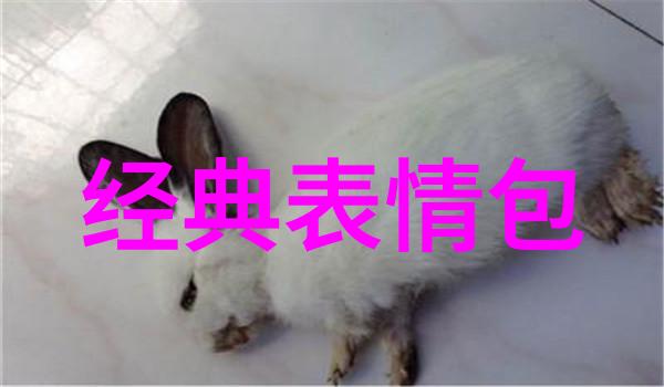 银幕上的梦想与文字的璀璨探索明星小说背后的故事与魅力