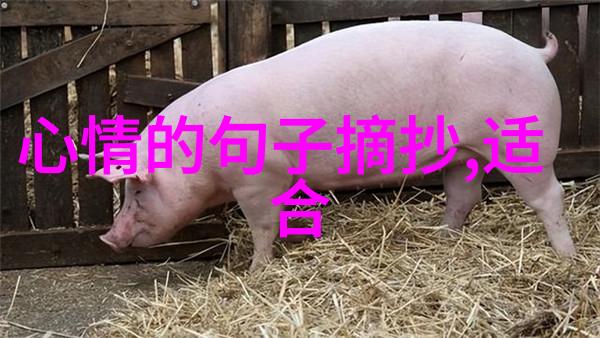 2020年最新QQ男生网名排行榜霸气十足经典好听不被时间侵蚀不逃避距离感