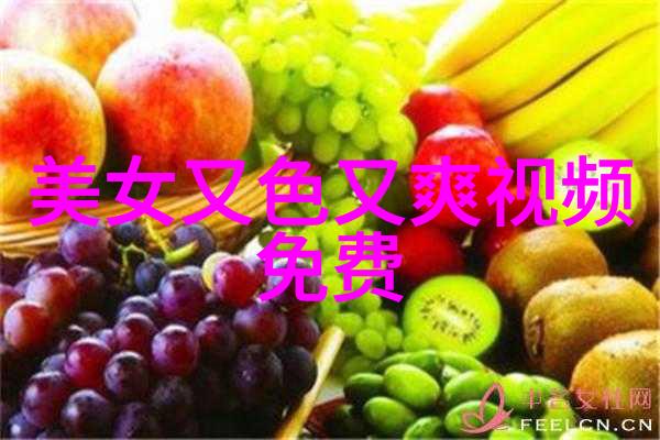 时尚界的新宠儿最新美女图片汇总