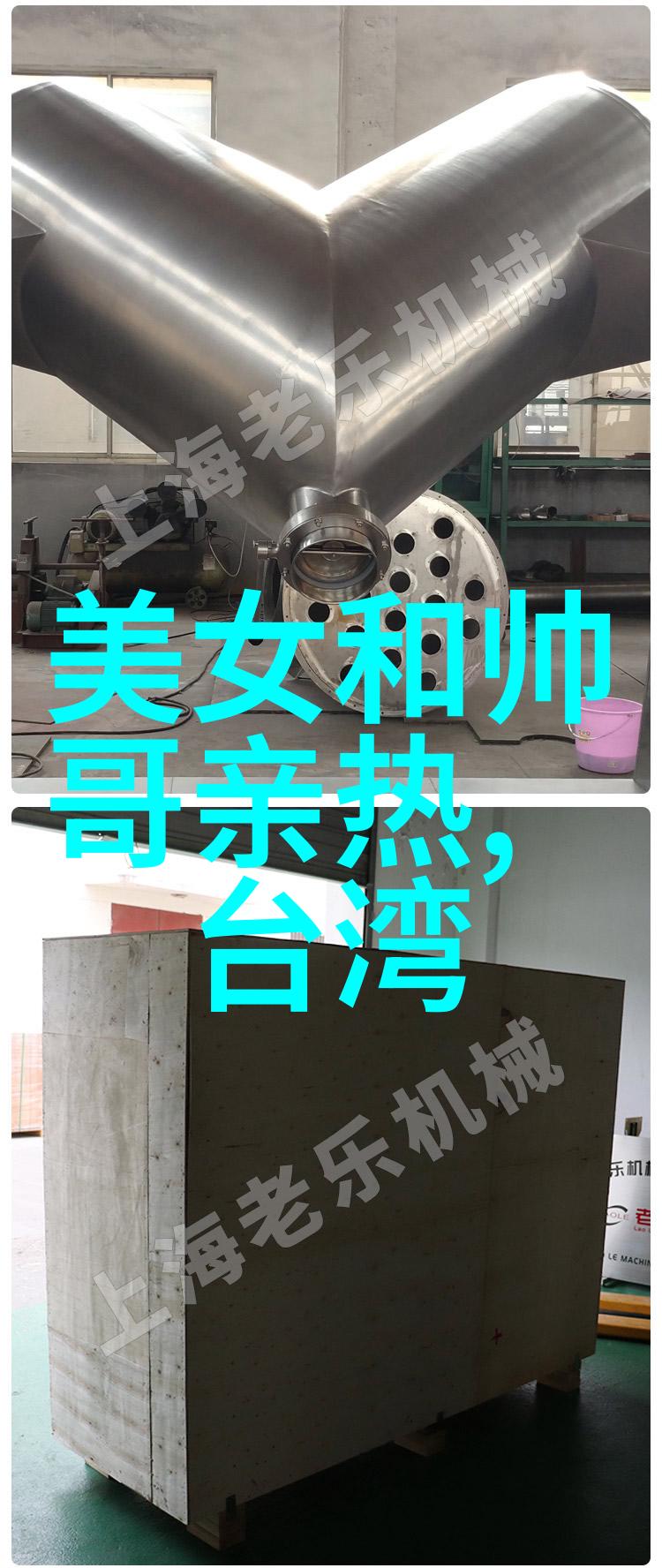 蓝色宠物之美英短蓝猫洗澡小贴士