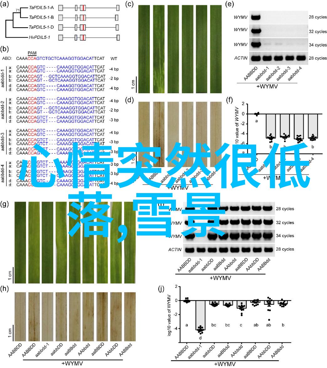 动感绘制的卡通魅力精选手机壁纸美化生活