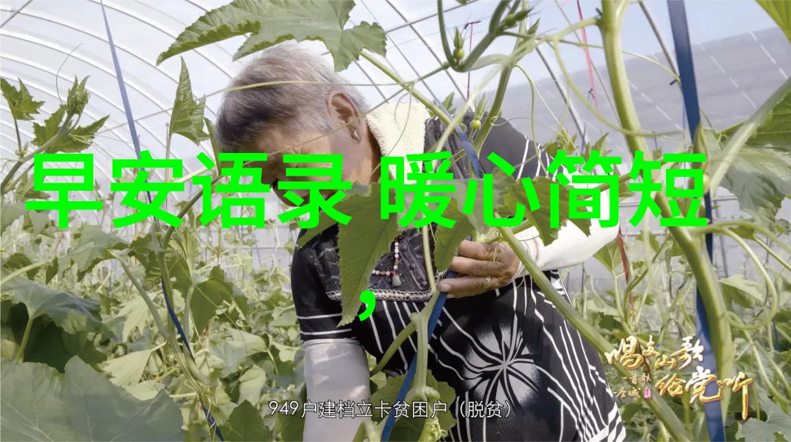风度翩然的白袜子少年