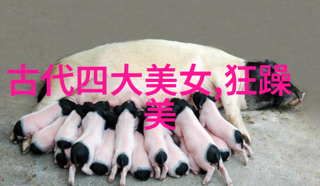学会放下名利场明星转身成为一名学生他最难忘的是什么
