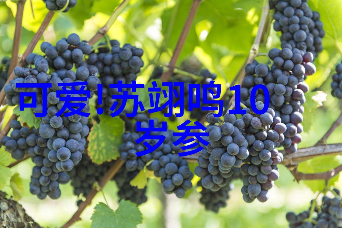 6个月宝宝被撑到说饱了成为今日新闻头条要闻
