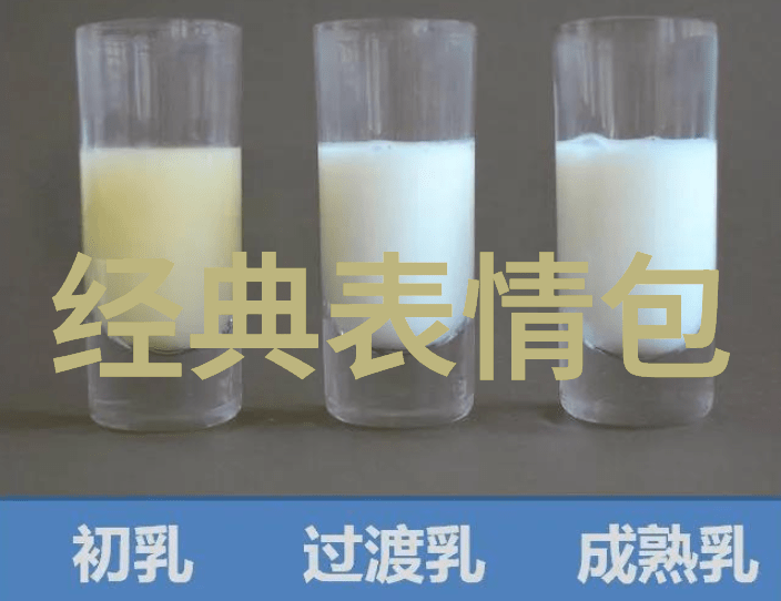 每天早晨问候语你好别忘了用心的问候让新的一天更加温暖