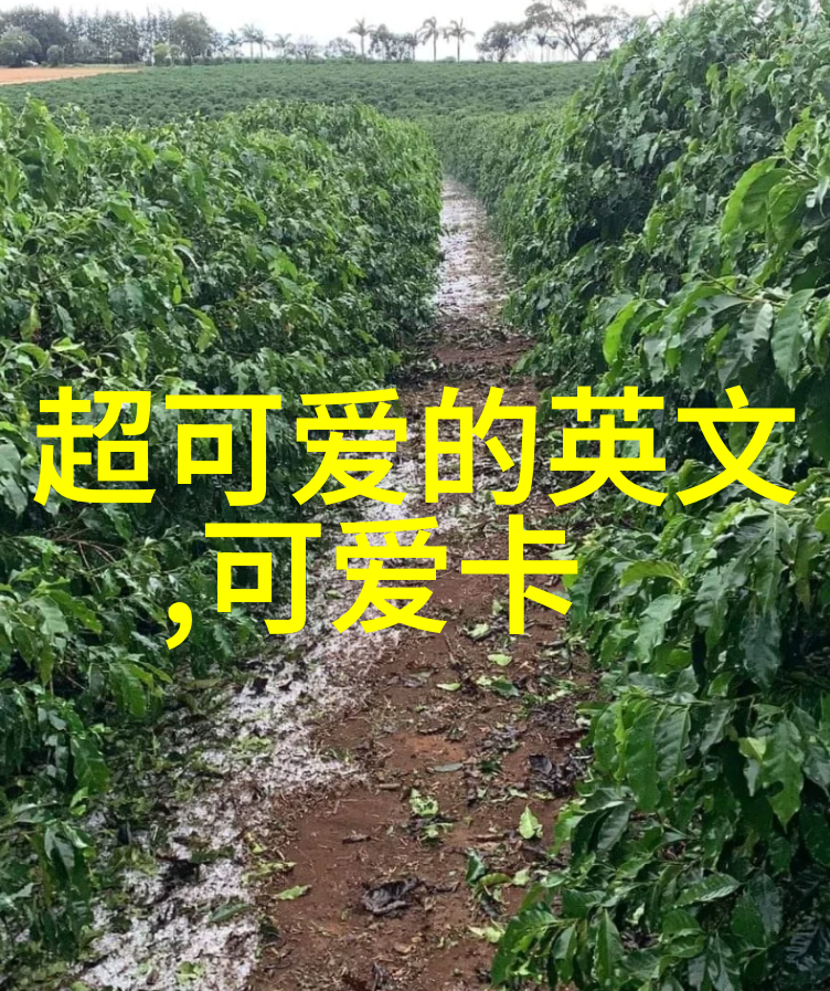 安静晨曦中的亲切问候