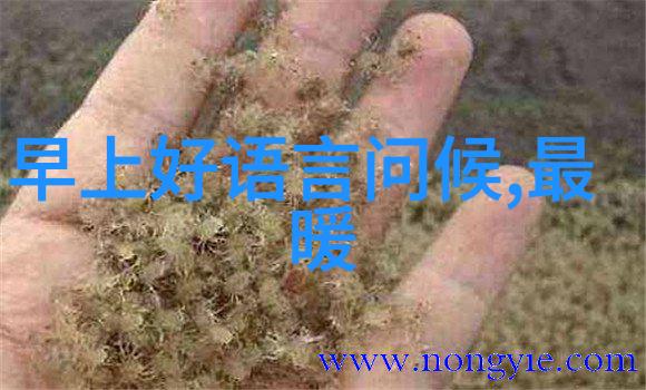 呼之欲出-心中的浪潮即将崩溃揭开抑制不已的情感深渊