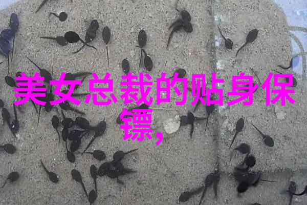 共同财富之旅梦想团队的金钱征程
