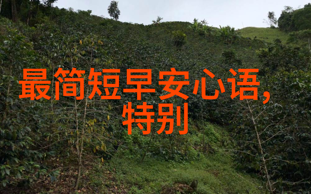 LSP必入社群揭秘那些不可忽视的QQ空间