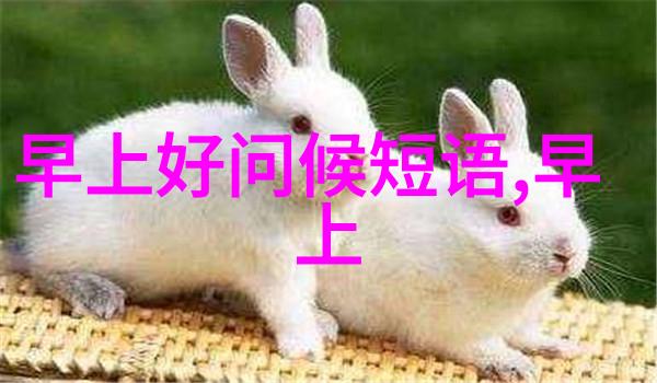 无法说出的痛苦探讨女性隐私的困境