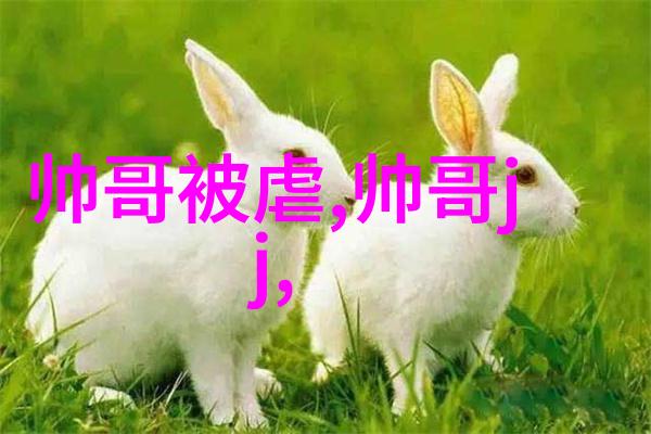吓死1亿人的鬼片 - 惊魂未宁揭秘那些让观众毛骨悚然的经典恐怖电影