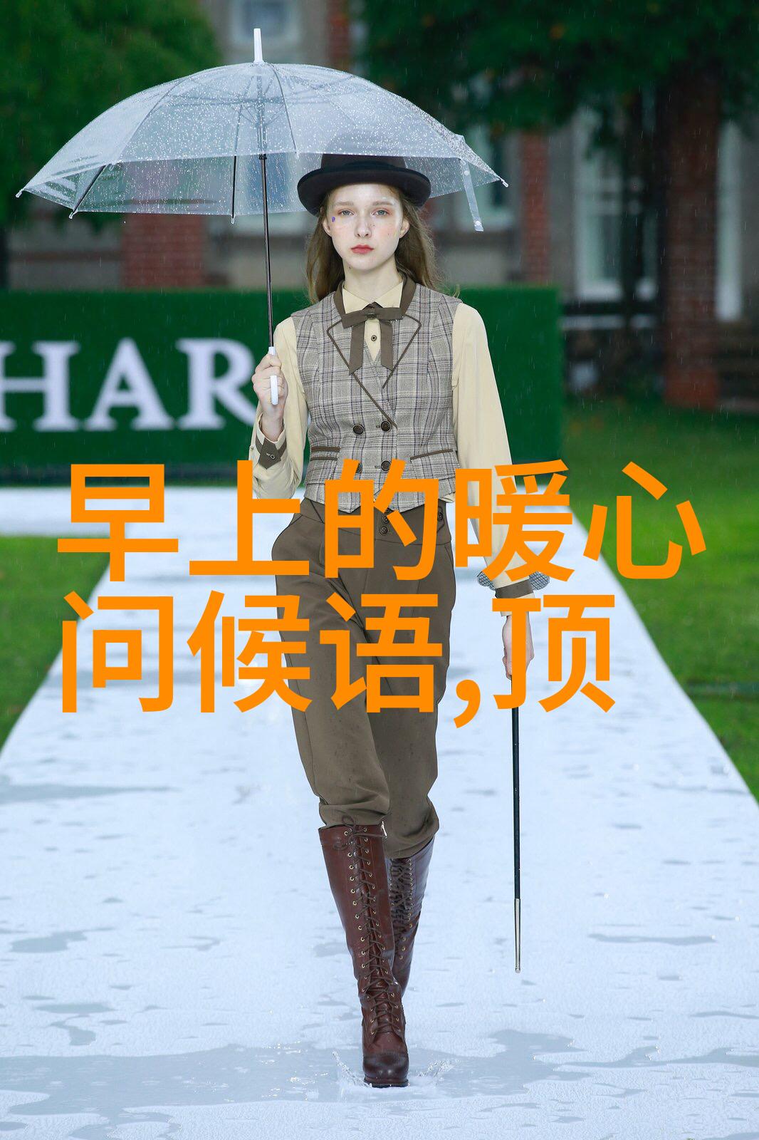 美女与野兽图片真人唯美-镜中奇缘探索美女与野兽真人版的唯美魅力