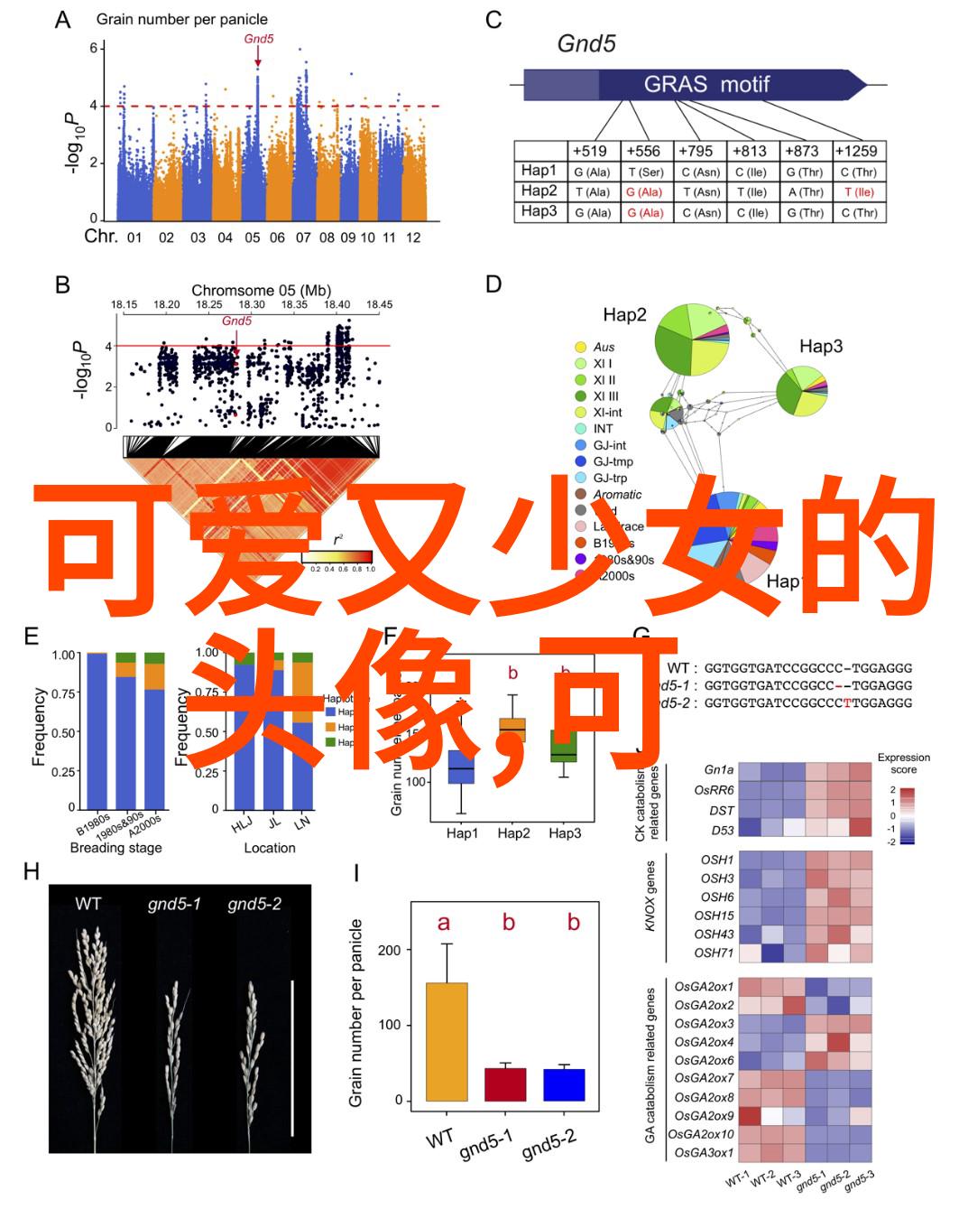 帅哥动漫我是如何在动画里遇见我的偶像的