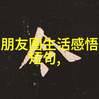 背后的故事如何诞生出启明星二号这个项目