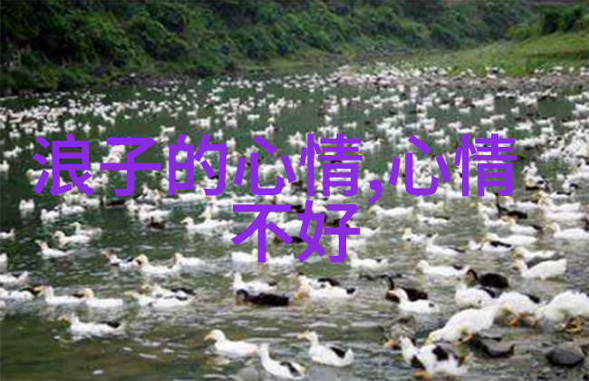 冷門繁體字探秘未被發掘的文字美