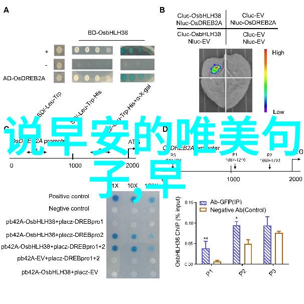 情感短句中的走心探究揭秘最触动人心的文本策略