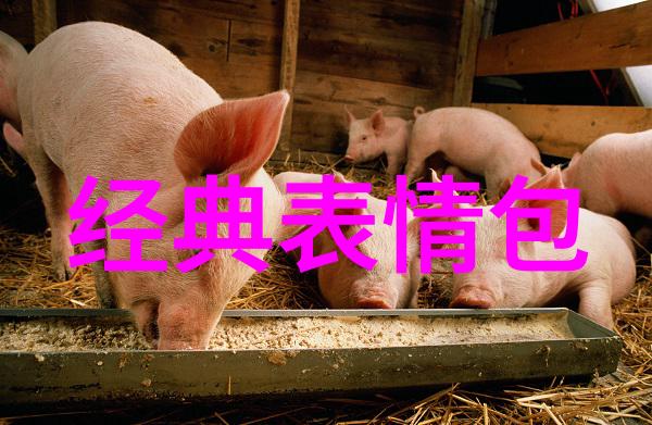 早晨阳光下的励志启航朝霞照亮梦想的道路
