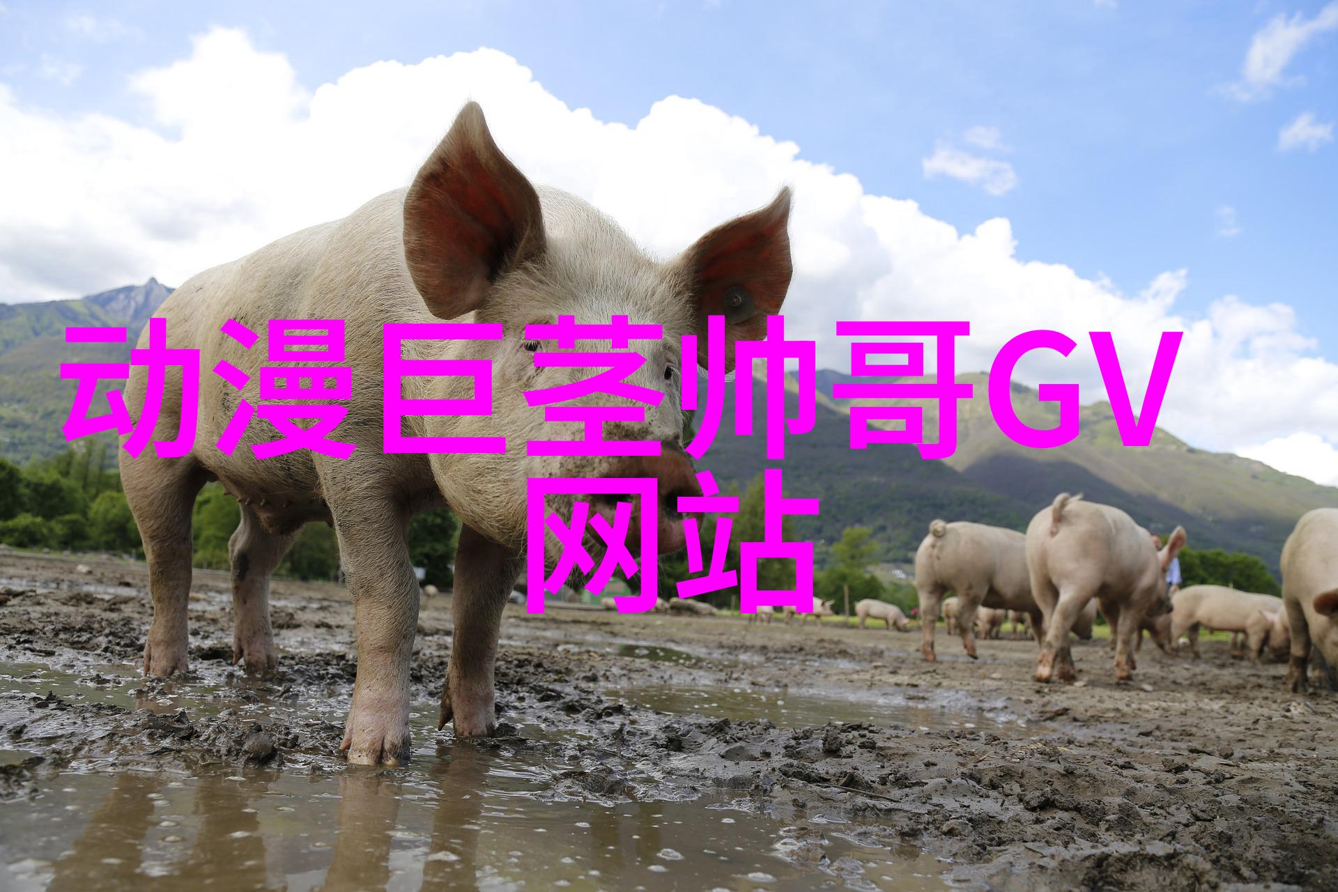 晚上十大禁用黄台软件绿巨人抖音短视频内容创作者应警惕的网络诈骗工具