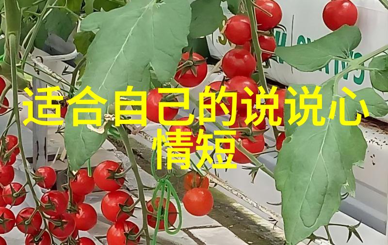 明星大侦探第七季解密案件的秘密